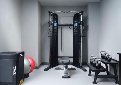 Palestra o centro fitness di Hampton Inn & Suites Dallas-DFW Airport Hurst