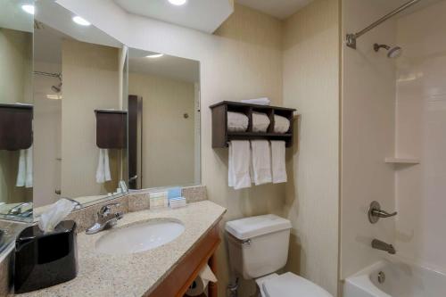 a bathroom with a sink and a toilet and a mirror at Hampton Inn Dayton Fairborn Wright Patterson AFB in Fairborn