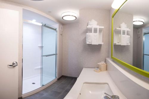 a bathroom with a shower and a tub and a sink at Hampton Inn and Suites Dallas/Lewisville-Vista Ridge Mall in Lewisville