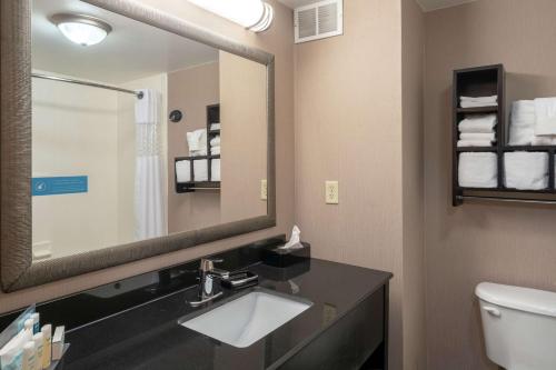 a bathroom with a sink and a mirror at Hampton Inn Dublin in Newbern