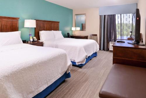 a hotel room with two beds and a flat screen tv at Hampton Inn by Hilton Decatur in Decatur