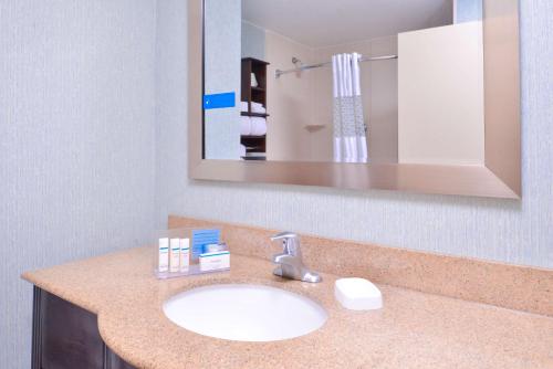 a bathroom with a sink and a mirror at Hampton Inn by Hilton Decatur in Decatur