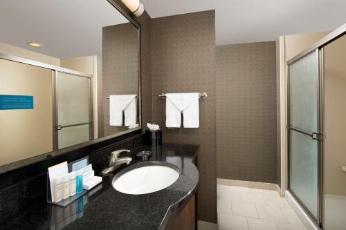 uma casa de banho com um lavatório e um chuveiro em Hampton Inn & Suites Athens/Interstate 65 em Athens
