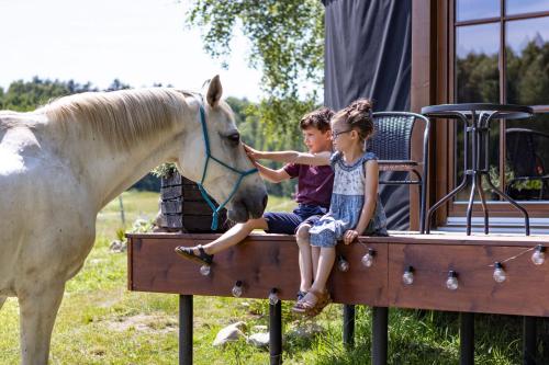 un niño y una niña acariciando un caballo blanco en Jurta Pod Brzozami 