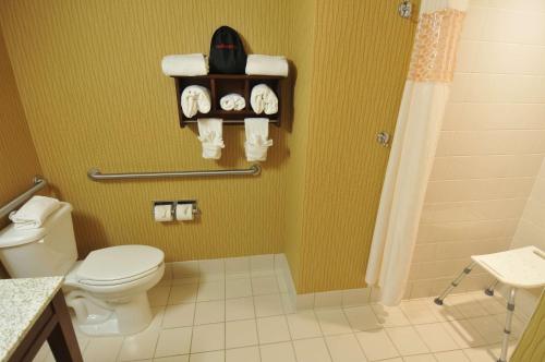 a bathroom with a toilet and a shower at Hampton Inn Denver West Federal Center in Lakewood