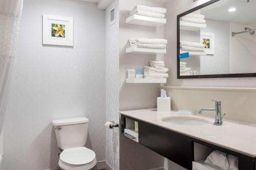 een badkamer met een toilet, een wastafel en een spiegel bij Hampton Inn Douglas in Douglas