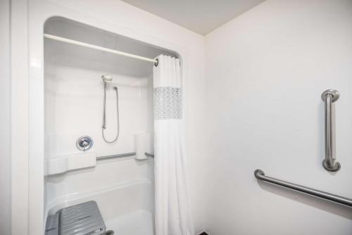 a bathroom with a shower with a shower curtain at Hampton Inn Dover in Dover