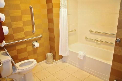 a bathroom with a toilet and a bath tub at Hampton Inn Detroit/Auburn Hills-North in Auburn Hills