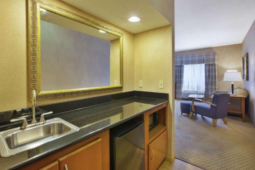 a bathroom with a sink and a large mirror at Hampton Inn Detroit - Shelby Township in Shelby