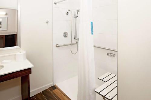 baño con ducha y puerta de cristal en Hampton Inn & Suites Denton, en Denton