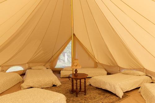 a tent with three beds and a table in it at Aparra Surfcamp Saint-Jean-de-Luz in Saint-Jean-de-Luz