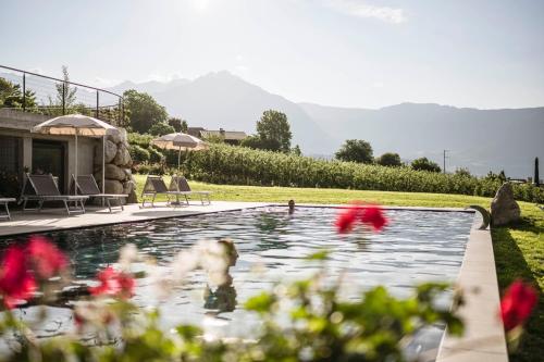 un grupo de personas jugando en una piscina en Residence Hirzer, en Lagundo