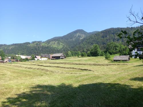 a field with a house and mountains in the background at Tubej turist farm - wooden hayloft in Bohinjska Bistrica