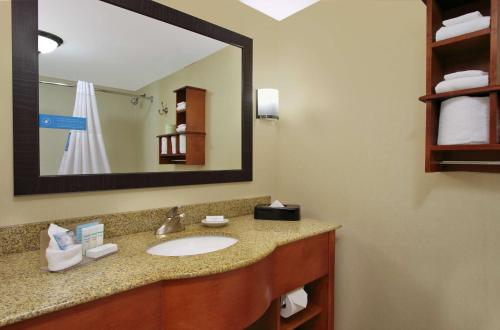 a bathroom with a sink and a mirror at Hampton Inn Ashtabula in Austinburg