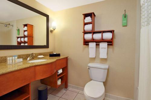 La salle de bains est pourvue de toilettes, d'un lavabo et d'un miroir. dans l'établissement Hampton Inn Ashtabula, à Austinburg