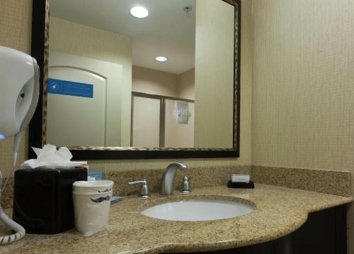 a bathroom with a sink and a large mirror at Hampton Inn North Brunswick NJ in North Brunswick