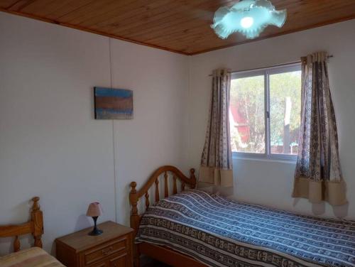 门多萨Acogedora casa para relax en Mendoza的一间卧室，里面有一张床和一扇窗户。