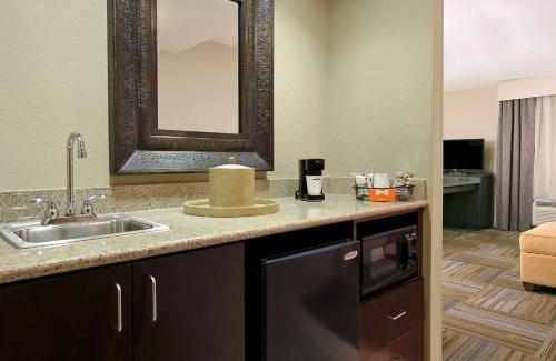 y baño con lavabo y espejo. en Hampton Inn & Suites-Florence Downtown, en Florence