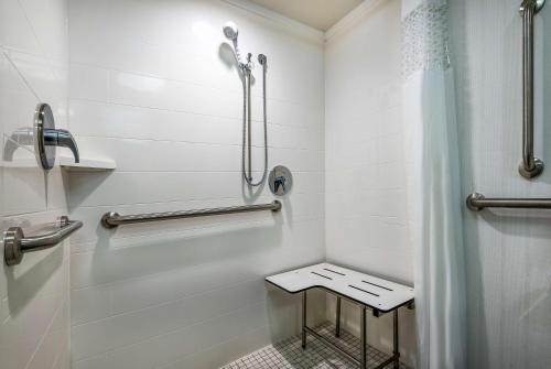 a bathroom with a shower and a stool in it at Hampton Inn & Suites Florence Center in Florence