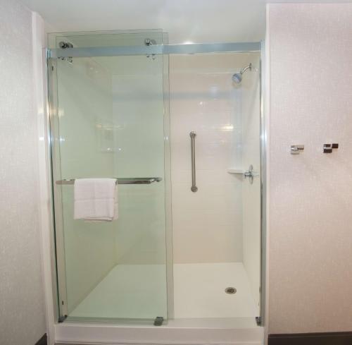 y baño con ducha y puerta de cristal. en Hampton Inn Gaffney, en Gaffney