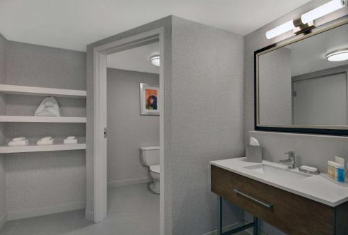 a bathroom with a sink and a toilet and a mirror at Hampton Inn Gallatin in Gallatin