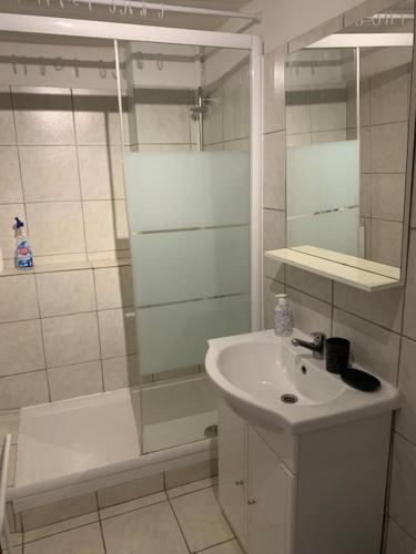 uma casa de banho branca com um lavatório e um chuveiro em Appartement Le Cricoune em Port-Saint-Louis-du-Rhône