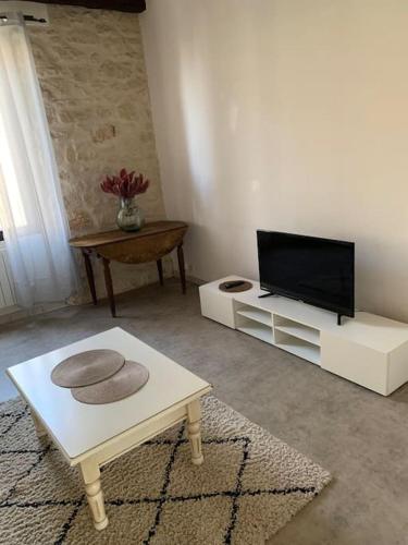 uma sala de estar com uma televisão e uma mesa de centro em Appartement Le Cricoune em Port-Saint-Louis-du-Rhône