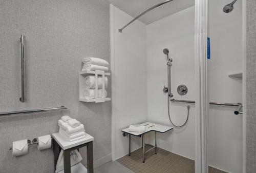 Koupelna v ubytování Hampton Inn Gallatin