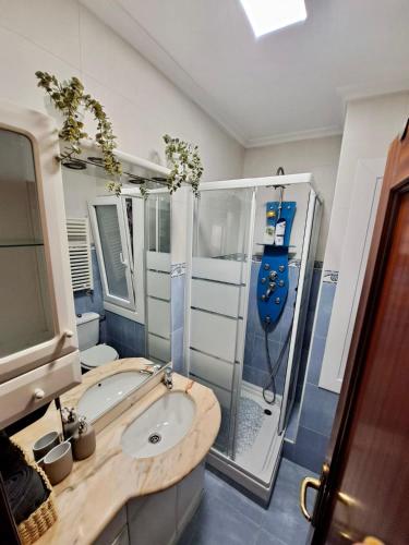 ein Bad mit einer Dusche, einem Waschbecken und einem WC in der Unterkunft Apartamento luminoso Santander in Santander