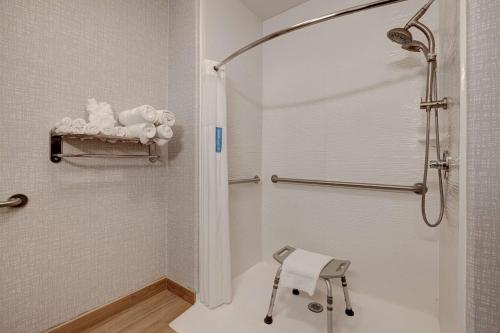 a bathroom with a shower and a walk in shower at Hampton Inn & Suites Galveston in Galveston