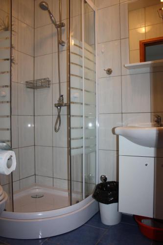 a bathroom with a shower and a sink at Studio Apartment Lenka in Milna