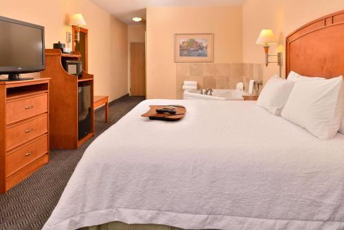a hotel room with a large bed and a television at Hampton Inn Grand Island in Grand Island