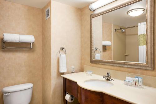 a bathroom with a sink and a toilet and a mirror at Hampton Inn Geneva in Geneva