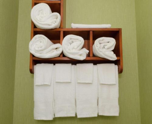 wieszak na ręczniki z białymi ręcznikami na zielonej ścianie w obiekcie Hampton Inn Hickory w mieście Hickory