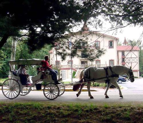 a horse pulling a carriage with two people on it at Hampton Inn Helen in Helen