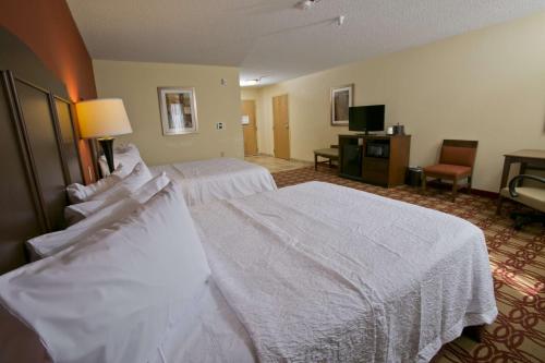 a hotel room with two beds and a television at Hampton Inn & Suites Wiggins in Wiggins