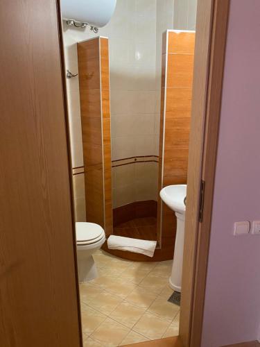 een badkamer met toilet en wastafel bij Vila Lago in Veliko Gradište