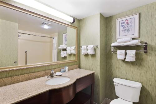 a bathroom with a sink and a toilet and a mirror at Hampton Inn Hinesville in Hinesville