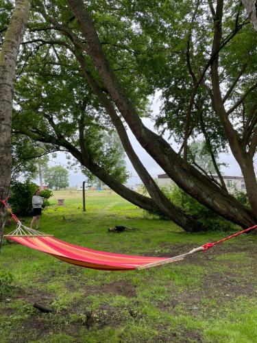 a red hammock hanging from a tree in a park at Camping Rogowo in Mrzeżyno