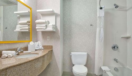 赫米特的住宿－Hampton Inn & Suites by Hilton Hemet Menifee Murrieta，浴室配有卫生间、盥洗盆和淋浴。