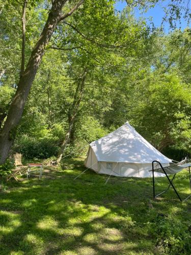 Camping Rogowo في ميجيجنو: خيمة بيضاء تجلس في العشب تحت الاشجار