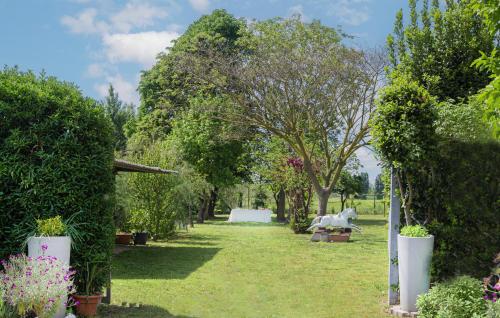 Zahrada ubytování Balabuska Rooms & Garden