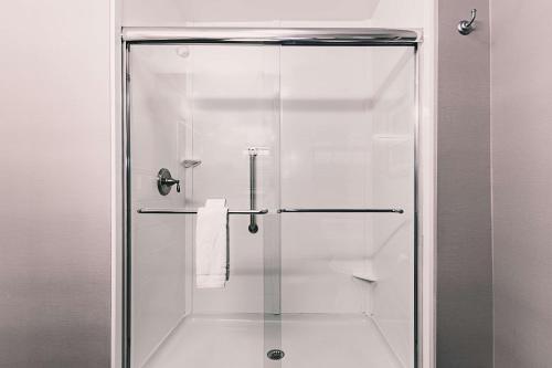 a shower with a glass door in a bathroom at Hampton Inn Niagara Falls/ Blvd in Niagara Falls