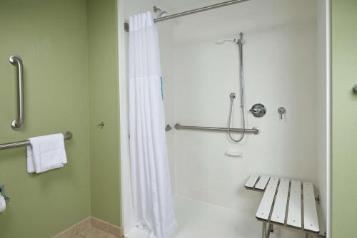 y baño con ducha y cortina de ducha. en Hampton Inn Bermuda Run / Advance, en Bermuda Run