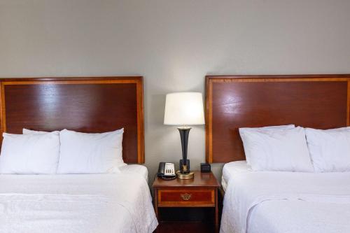 a hotel room with two beds and a lamp at Hampton Inn Winston-Salem Hanes Mall in Winston-Salem