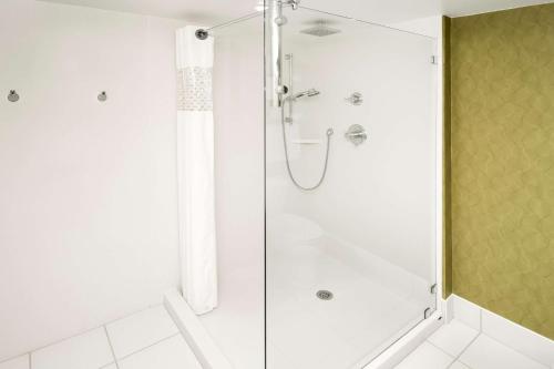 a shower with a glass door in a bathroom at Hampton Inn Winston-Salem Hanes Mall in Winston-Salem