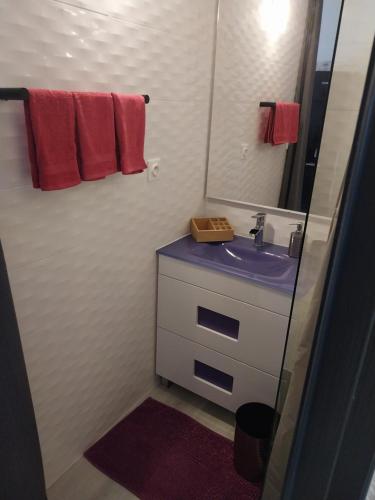 une salle de bain avec un lavabo et un miroir dans l'établissement CHARMANTE VILLA HELIOVILLAGE CAMP NATURISTE, au Cap d'Agde