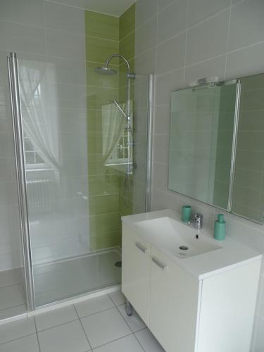 ein Bad mit einem Waschbecken und einer Dusche mit einem Spiegel in der Unterkunft Manoir Saint Martin in Percy
