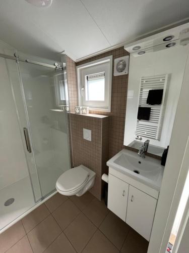 uma casa de banho com um chuveiro, um WC e um lavatório. em Landzicht Natuur Rust en Ruimte em Oosterwolde