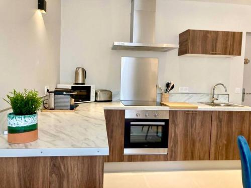 Kuchyň nebo kuchyňský kout v ubytování Le Palm Appartement élégant & Design En Bord Rivière
